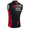 Gilet 2026 Visma Lease A Bike Nero