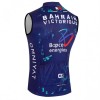 Gilet 2026 Bahrain Victorious Blu