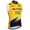 Gilet 2026 Visma Lease A Bike Giallo