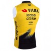 Gilet 2026 Visma Lease A Bike Giallo
